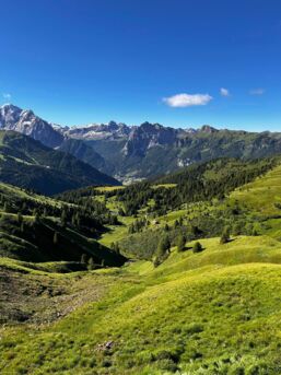 449504547_1003347311801122_3211289397450504117_n