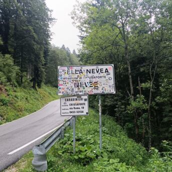 449314385_1001207955348391_3573765579288511323_n