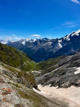 449992451_1004228715046315_5745472481095987095_n