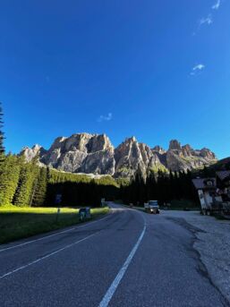 450062456_1003326731803180_7617413789827927938_n